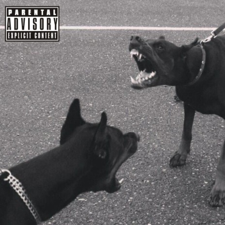 DOG FIGHT | Boomplay Music