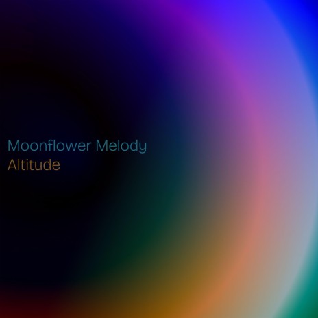 Moonflower Melody | Boomplay Music