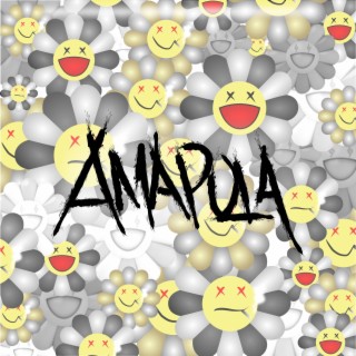 Amapola