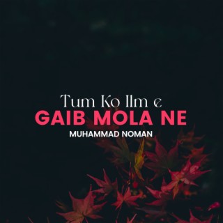 Tum Ko Ilm e Gaib Mola Ne