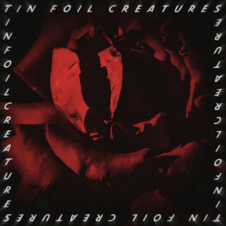 Tin Foil Creatures | Boomplay Music