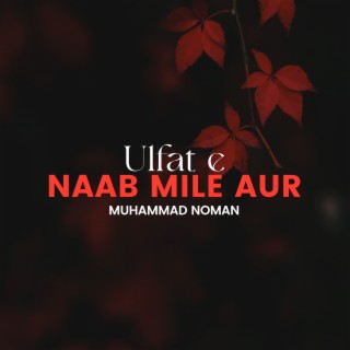 Ulfat e Naab Mile Aur