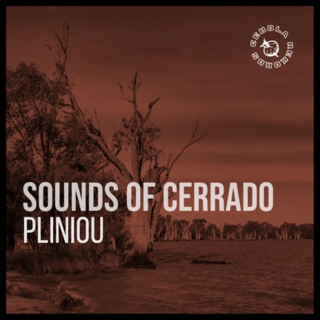 Sounds of Cerrado (Original Mix) | Boomplay Music