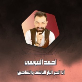 أنا الحر الباز الباشق والشاهين