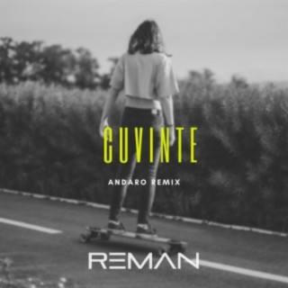Cuvinte (Andaro Remix)