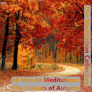 The Colours of Autumn (10 Minute Meditations)