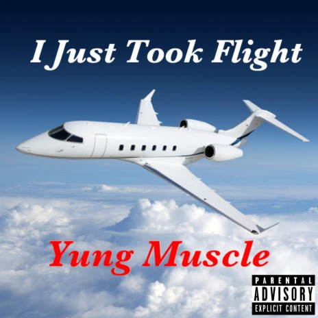 I Just Took Flight | Boomplay Music