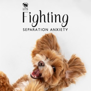 Fighting Separation Anxiety: White Noise for Dogs and Cats, Pet Wellbeing, Calm Pets Music, Pet Relax