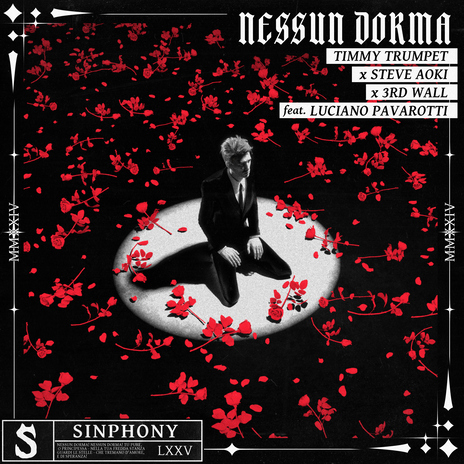 Nessun Dorma (feat. Luciano Pavarotti) | Boomplay Music