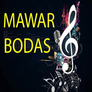 Mawar Bodas