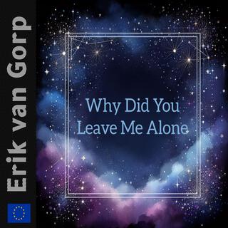 Why Did You Leave Me Alone lyrics | Boomplay Music