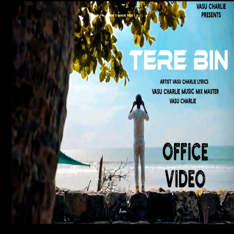 Tere Bin | Boomplay Music