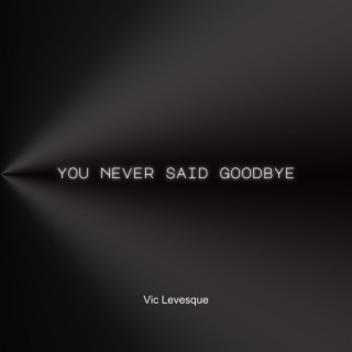 You Never Said Goodbye