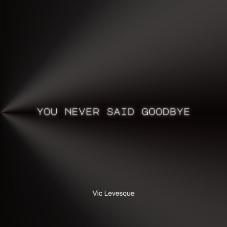 You Never Said Goodbye | Boomplay Music