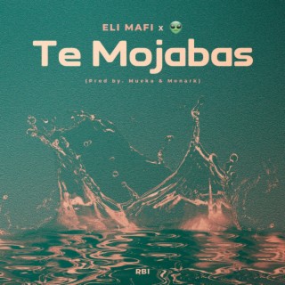 Te Mojabas