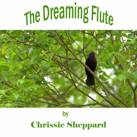 The Dreaming Flute | Boomplay Music