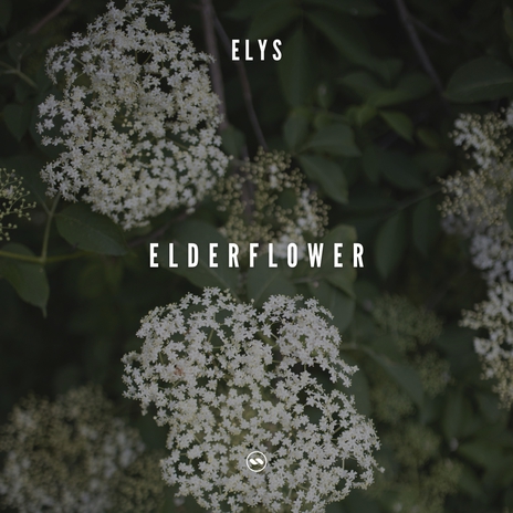 Elderflower | Boomplay Music