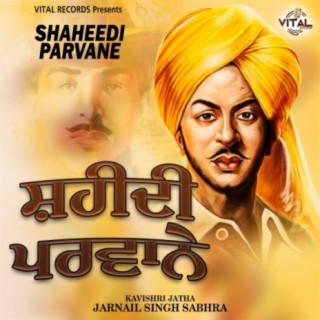 Shaheedi Parvane