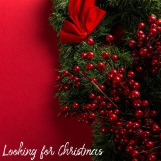 Looking for Christmas