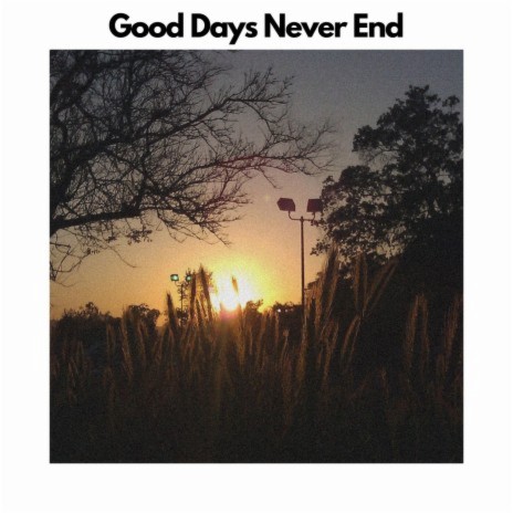 Good Days Never End | Boomplay Music