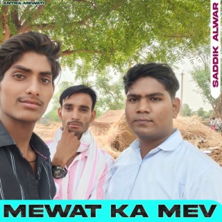 Mewat Ka Mev