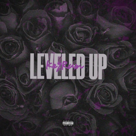 LEVELED UP | Boomplay Music