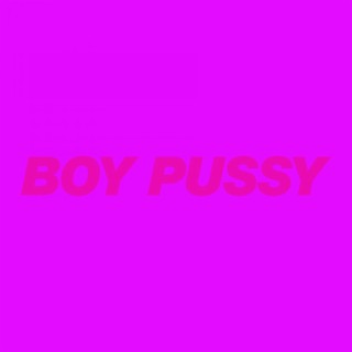 Boy Pussy: The Remixes, Vol. 2