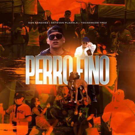 Perro Fino | Boomplay Music