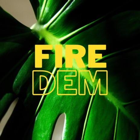 Fire Dem | Boomplay Music