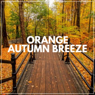 Orange Autumn Breeze