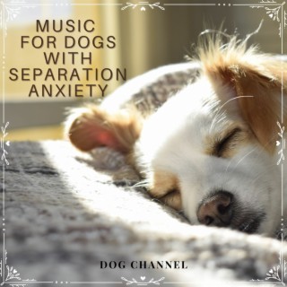 Music for Dogs with Separation Anxiety