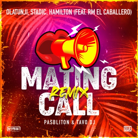 Mating Call (Remix) ft. Stadic, Hamilton & Rm el Caballero | Boomplay Music