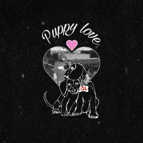 PUPPY LOVE | Boomplay Music