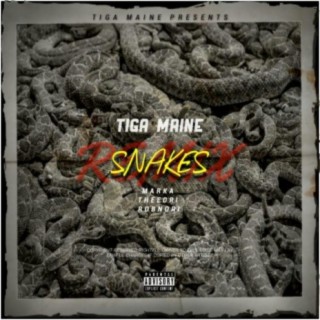 Snakes (Remix)