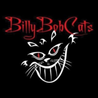 Billy Bob Cats (Morning Glory)