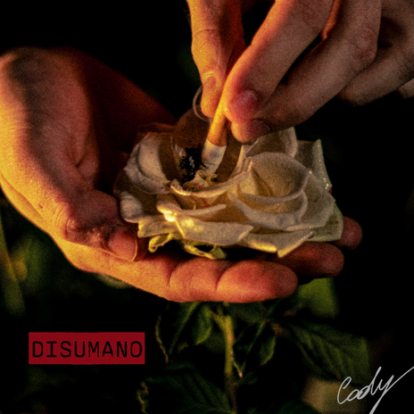 Disumano ft. Liz Vega & LaVavolo | Boomplay Music