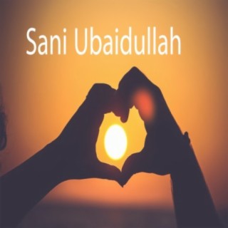 Sani Obaidullah