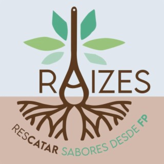 Proyecto Raizes
