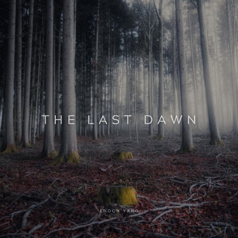 The Last Dawn | Boomplay Music