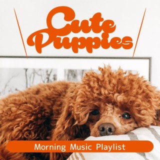 Morning Music Playlist