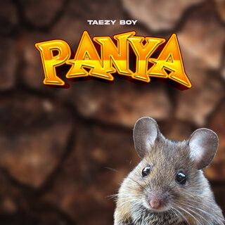 Panya