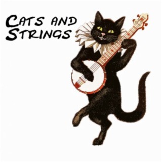 Cats and Strings