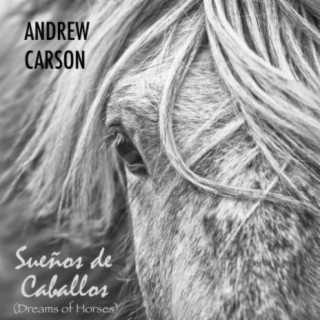 Sueños de Caballos (Dreams of Horses)