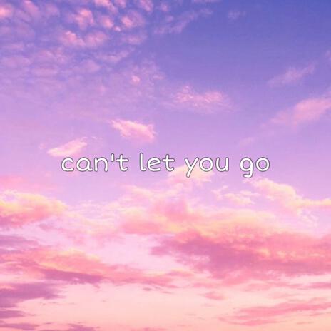 can't let you go | Boomplay Music