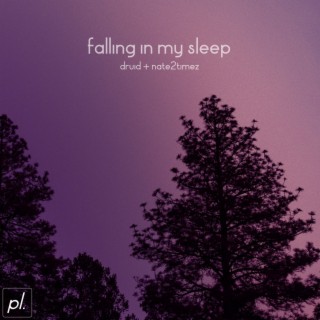 falling in my sleep