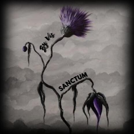 Sanctum | Boomplay Music