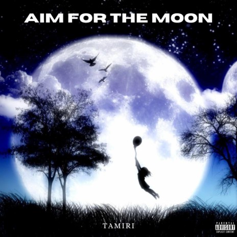 Aim For The Moon | Boomplay Music