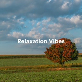 Relaxation Vibes