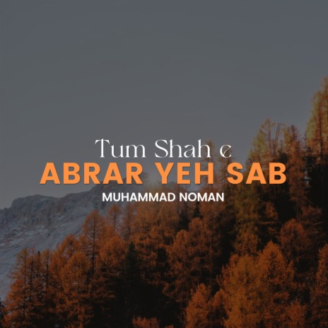 Tum Shah e Abrar Yeh Sab | Boomplay Music