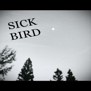 Sick Bird